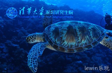 点击查看